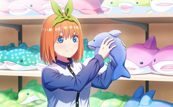 BLUE MANTA の左側の棚